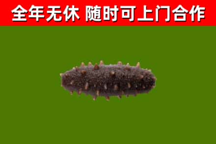 复兴烟酒回收干海参.jpg